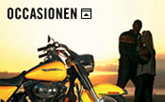 Occasionen