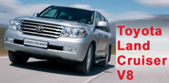 LCV8